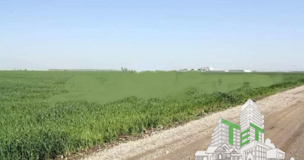 Teren de vazare pt investitie, Sinesti, 4 eur / mp, 21000mp