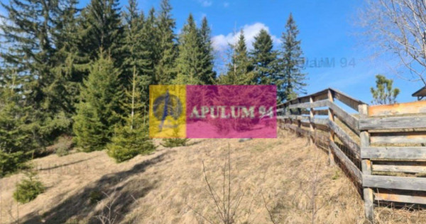 Teren de vânzare în Predeal - Zona Forban