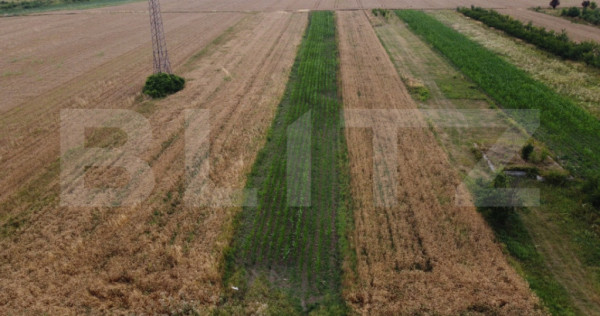 Teren de Vanzare in Razvad-Oportunitate Excelenta!