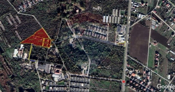 Teren 19,470 mp Comuna 1 Decembrie Ilfov