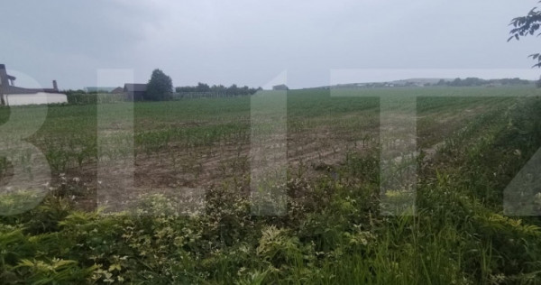 Teren extravilan, 7500mp, Oraseni Deal cu PUZ in lucru