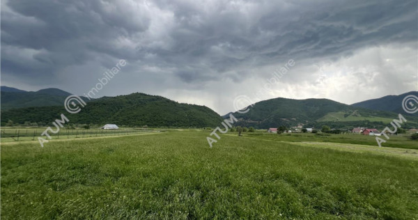 Teren intravilan de 3477 mp cu deschidere de 35 m in Boita