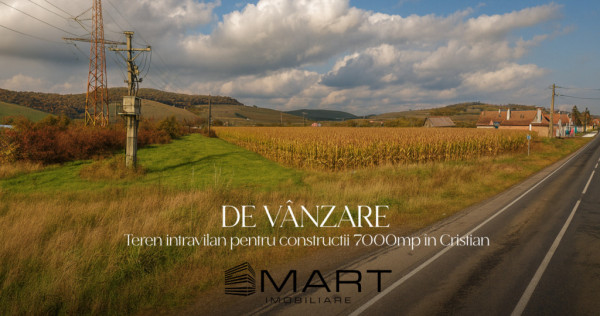 Teren intravilan CC cu CU 7000mp in Cristian la DN