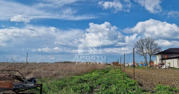 Teren intravilan , curent , apa , nr de casa Sacosu Turcesc