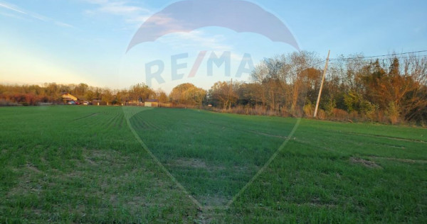 Teren 1,000mp Ciolpani / Strada Catunului