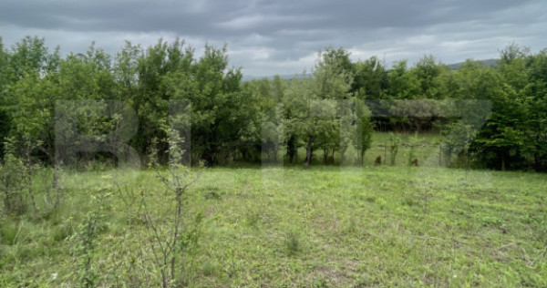 Teren extravilan 5200 mp – Budacul de Jos- Investiție ex