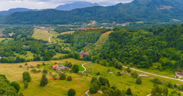 Teren Parcul National Bucegi/Str Glajarie Rau Mare/Panice...