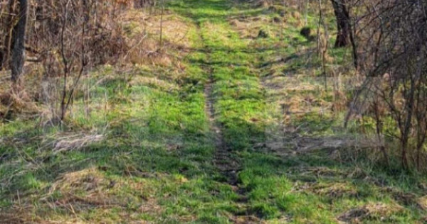 Casa cu o camera, 60 mp, in apropiere de Brad