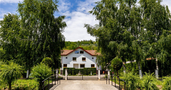 Vila 7 camere - Babana - Arges - teren 4391 mp - fara comisi