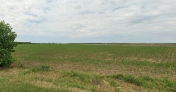 Teren extravilan Pogoanele, ID: R2586845