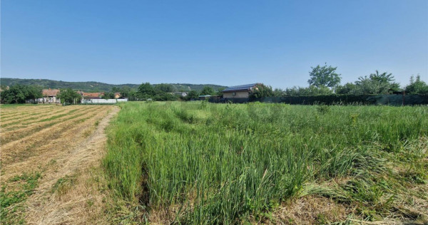 RECO teren intravilan in Fughiu 30 e / mp