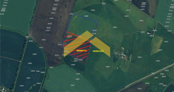 Teren 6,8ha extravilan de Zimandu Nou