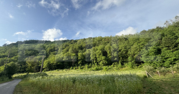 Teren intravilan de 4558 mp