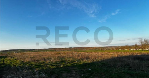 RECO Teren intravilan , Comuna Paleu , Bihor