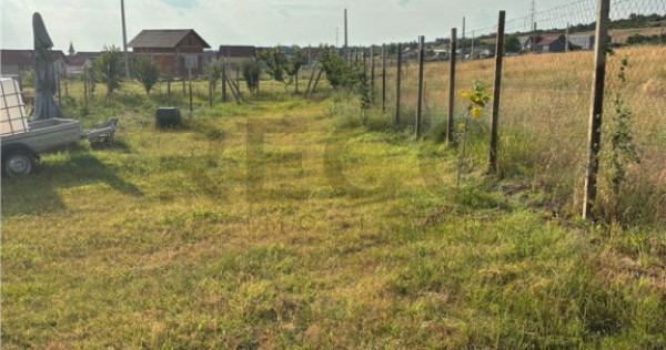 RECO Teren intravilan Betfia