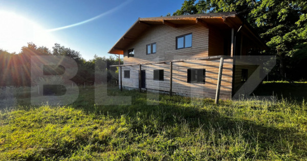 ????Cabana de Vis în Inima Naturii – Investiția Perfect?