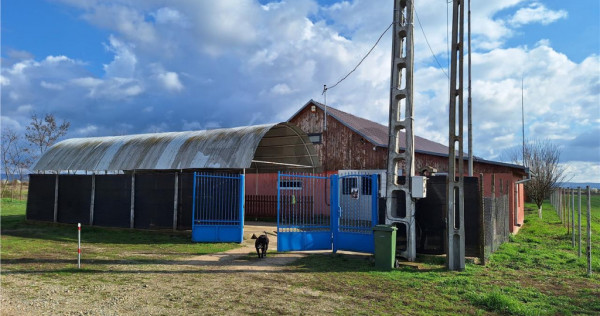 Reco, hala industriala Sabolciu