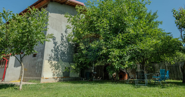 Vila ta în Mogoșoaia – Construită cu grijă, reziste...