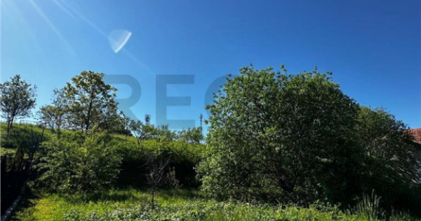 Reco Teren intravilan Beius