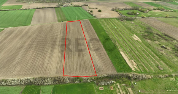 RECO . TEREN INTRAVILAN OSORHEI