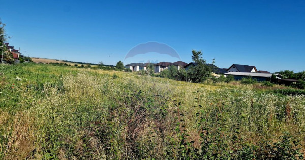 Teren intravilan Piatra Neamt