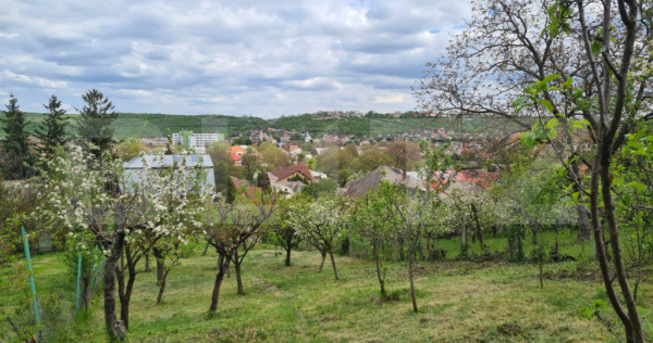 Proprietate cu 1682 mp teren, in Turda Noua