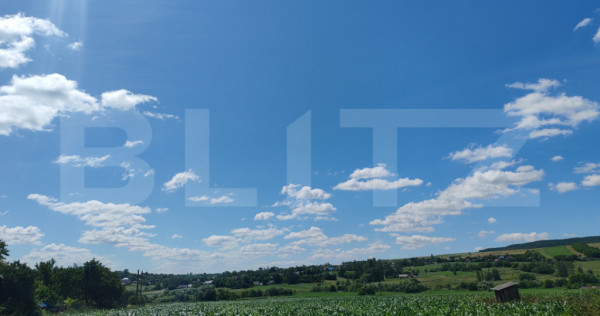 Teren 9600 mp si casa batraneasca demolabila, Dealu