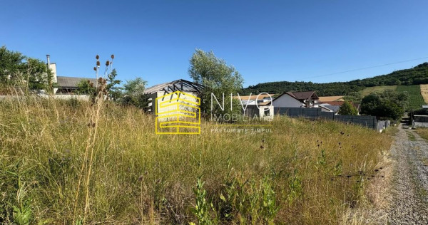 Teren intravilan – Budiu Mic