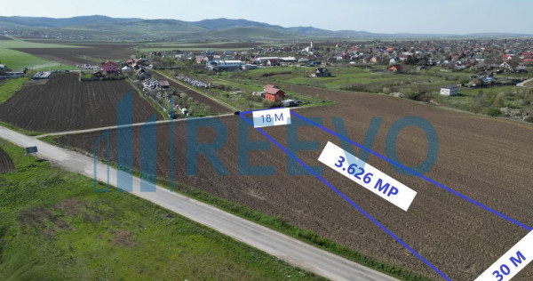 Teren de vânzare, Com. Nicolae Bălcescu, Jud. Bacău