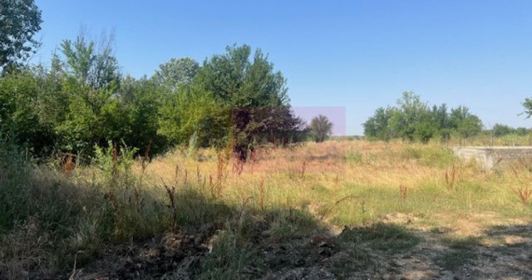 Teren Clinceni- Ordoreanu- langa Dig.