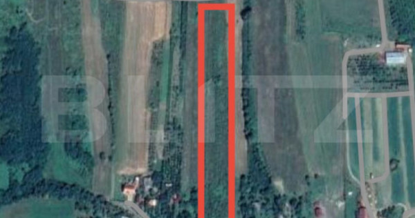 Teren de vânzare în Viile Satu Mare – Strada Voinicilor