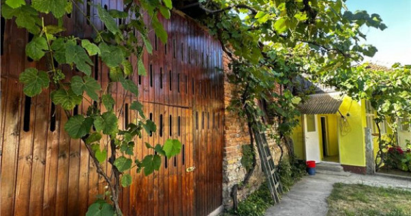 Reco Casa cu teren in Uileacul de Beius