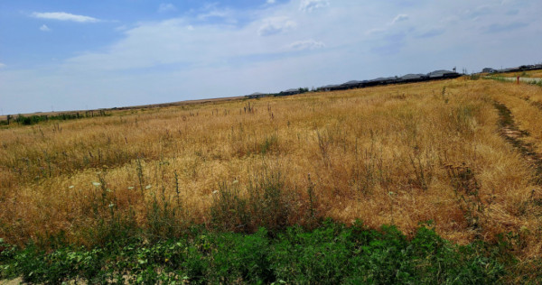 Teren intravilan Carcea , 415 mp , cu front stradal 14,78 m