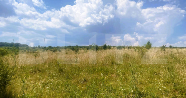 Teren construibil, 1100 mp, cu certificat de urbanism, Salic