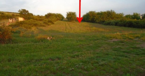 Cota de 3/8 din teren extravilan 5000 mp, Alba-Iulia, Jud...