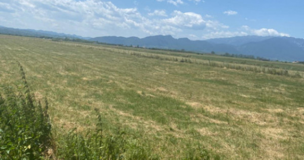 Teren Rasnov 1935 mp