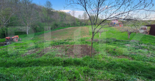 Teren 6650 mp, cu casa nefinalizata de 111 mp, in Nisipoasa