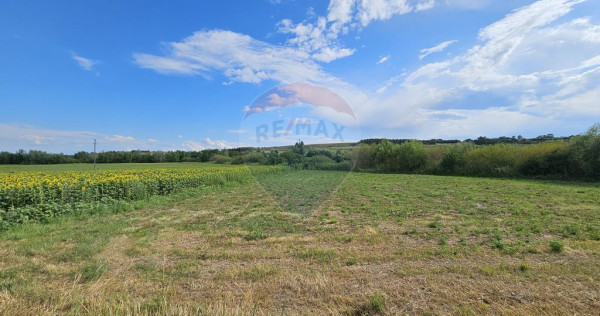 Teren extravilan 12000 mp- Pădureni-Șendriceni, Botoșani