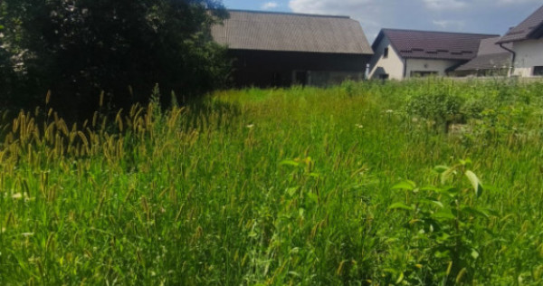 Teren intravilan, 10000mp, zona Maneuti, Radauti