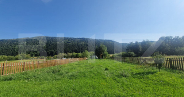 Teren Plaiul Foii, vedere spre muntii Bucegi si apa Barsa 10