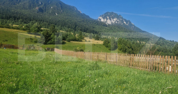 Teren Plaiul Foii, vedere spre muntii Bucegi si apa Barsa 10