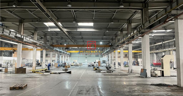 Depozit/hala/spatiu industrial Militari - Timisoara