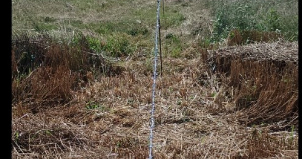 Teren 5 Ari Zona Moara