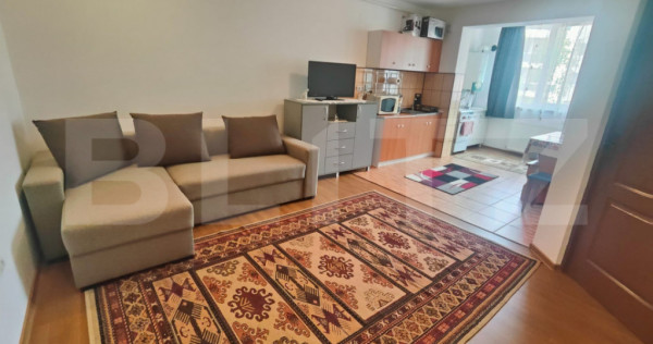 Apartament cu doua camere, mobilat, etaj 2, strada Florilor