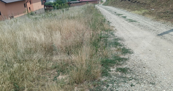Teren intravilan 1000 mp in Micesti