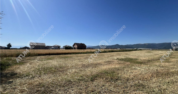 Teren extravilan de 10400 mp cu 2 deschideri in Cristian zon