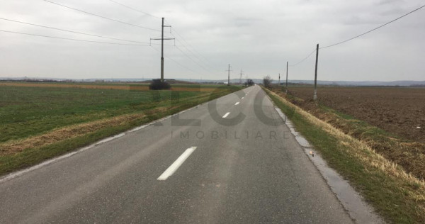 Reco Teren Intravilan in Chiribis