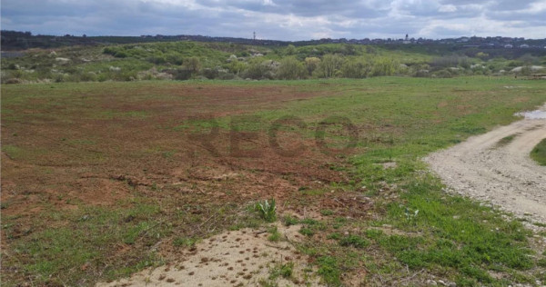 RECO Teren intravilan, Paleu