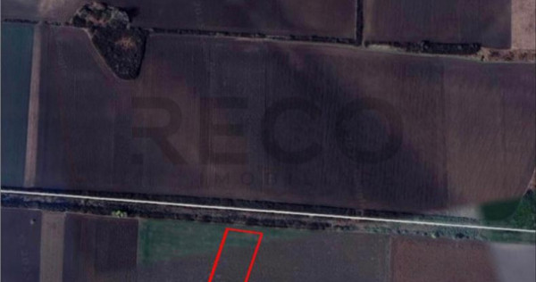 RECO Teren extravilan 9000mp zona Bors