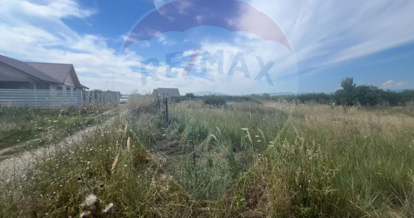 Teren intravilan Golesti / Aleea Lacramioarei